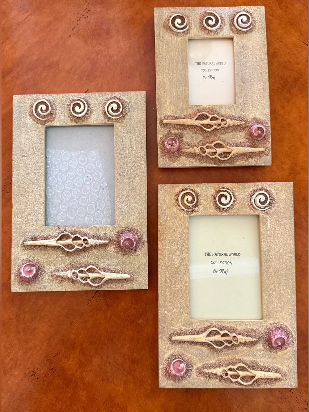 The Natural World By Raj Beachy Seashell Picture Frame Set - 3 Pack